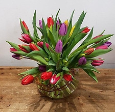 Bubble Bowl Of Tempting Tulips