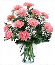 Dozen Carnations Arranged