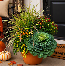 A 10\" Fall Patio Pot