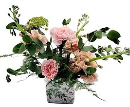Ferns and Flowers