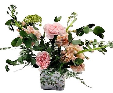 Ferns and Flowers