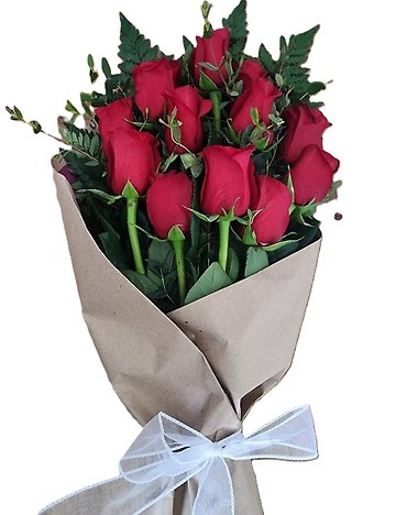 Dozen Red Wrapped Roses