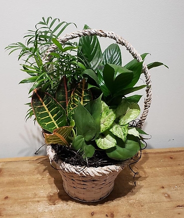 Braided Basket Planter - Small