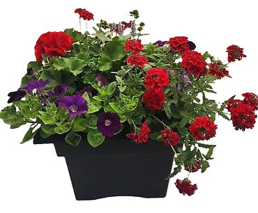 Square Patio Pot 14\" Sun