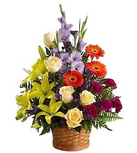 Muskegon Blooming Basket Of Color