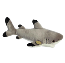 12.5\" Blacktip Shark