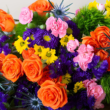 Bright Mix Designers Choice
