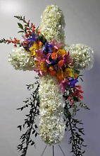 Crosswinds of Spring