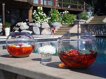 Bubble Bowls