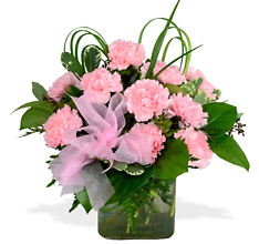 The Pink Carnation Cube Bouquet