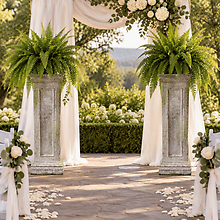 Pedestals