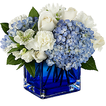 Beautiful Blue