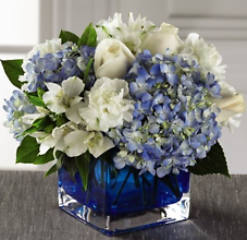 Beautiful Blue
