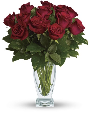Classic Muskegon Dozen Roses