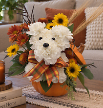 A Puppy For Fall