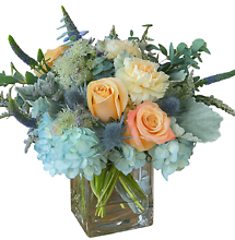 Garden Cube Arrangement