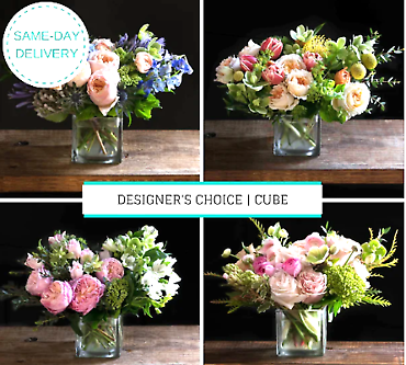 Premium Designers Choice Cube Arrangement