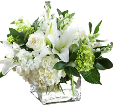 White Cube Arrangement