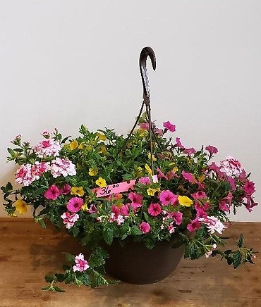 Combination Hanging Basket 