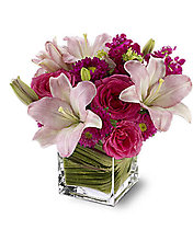 Posh Pinks