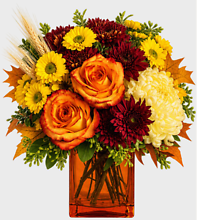 Autumn Expressions