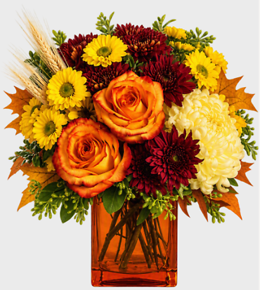 Autumn Expressions