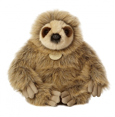 Sloth