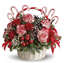 Candy Cane Christmas
