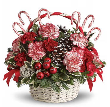 Candy Cane Christmas