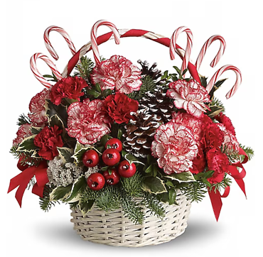 Candy Cane Christmas