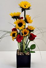 Sunflower Statement Cube Arrangement