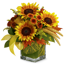 Funflowers
