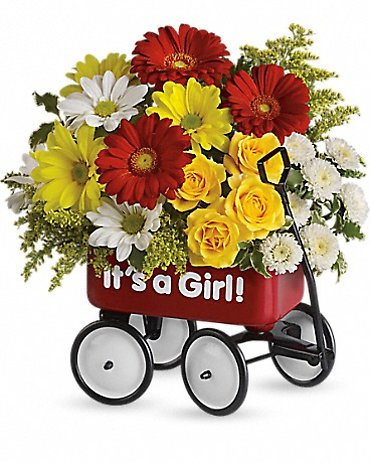 Baby\'s Wow Wagon by Teleflora - Girl