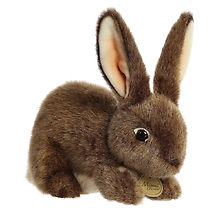 Flemish Rabbit
