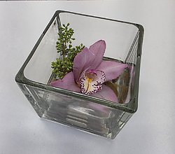 Single Orchid Bloom In Glass Cube