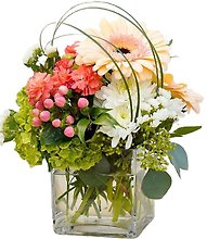 Pastel Cube Arrangement