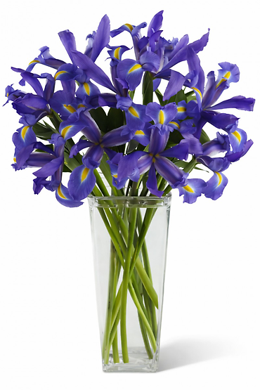 10 Stems Of Iris Arranged