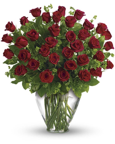 Roses Arranged-50