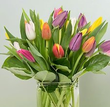 20 Tulips In A Vase