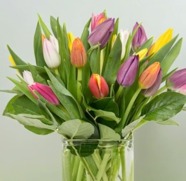 20 Tulips In A Vase