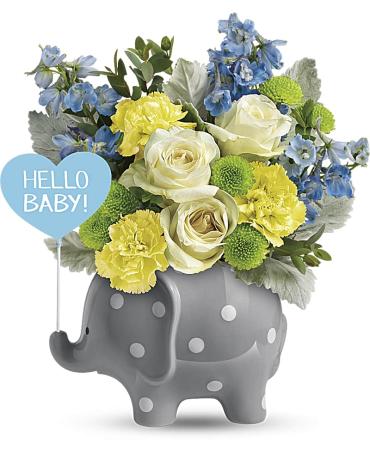 Hello Baby - Blue