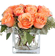 Dozen Peach Roses Cube