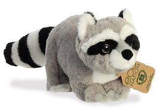 Raccoon