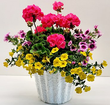 Urn Liner Starting at $25.00