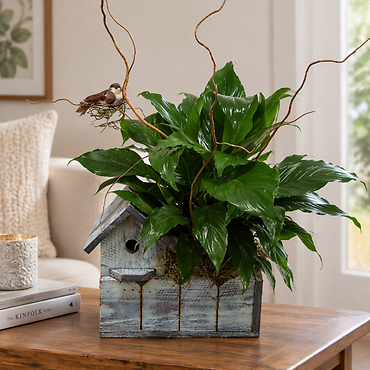 Peaceful Birdhouse