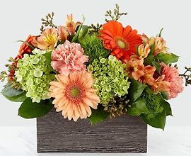 Hello Gorgeous Arrangement