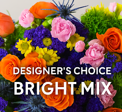 Bright Mix Designers Choice