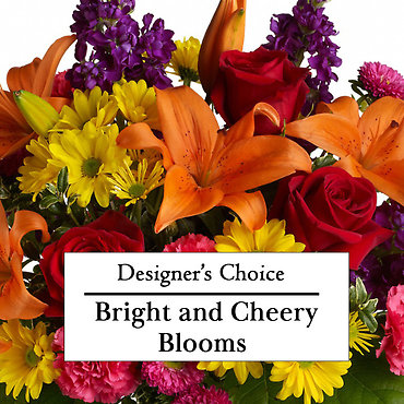 *Designers Choice Bright Mix