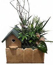 Bird House Planter