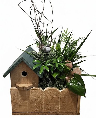 Bird House Planter